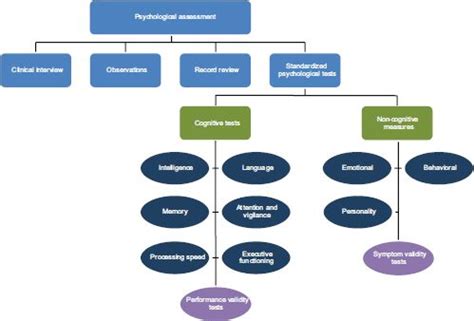 psychological testing ncbi